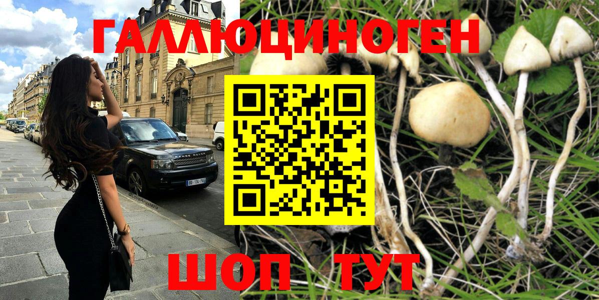 продажа наркотиков  Вход с VPN  Чапаевск  Псилоцибиновые грибы MAGIC MUSHROOMS 